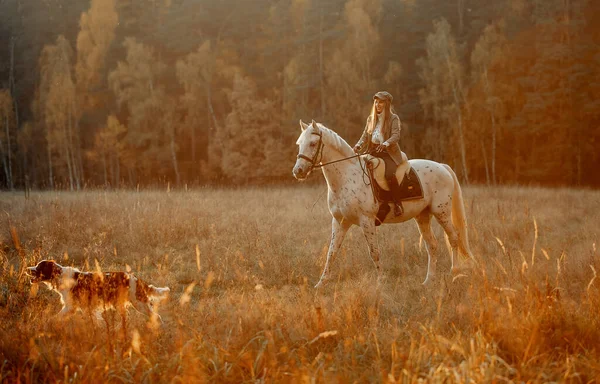 Mulher Bonita Estilo Desgaste Caçador Inglês Com Cavalo Knabstrupper Setter — Fotografia de Stock