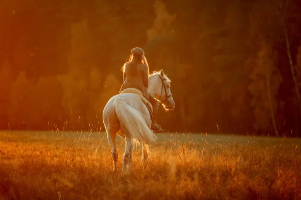 Bella Giovane Donna Stile Inglese Cacciatore Indossare Con Knabstrupper Cavallo — Foto Stock