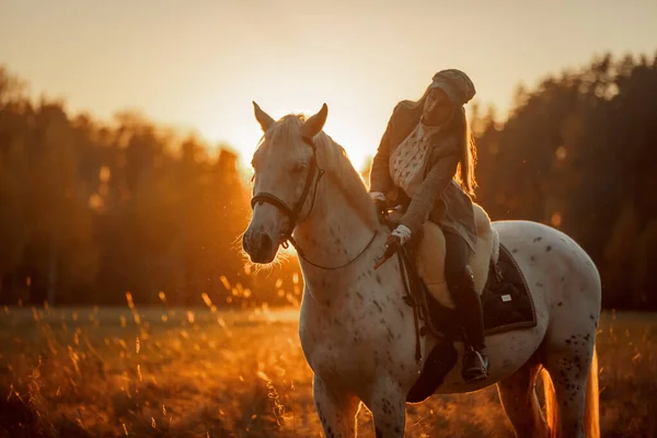Девушка Английском Костюме Лошадью Кнабструппер Ирландской Канализацией Осеннем Парке — стоковое фото
