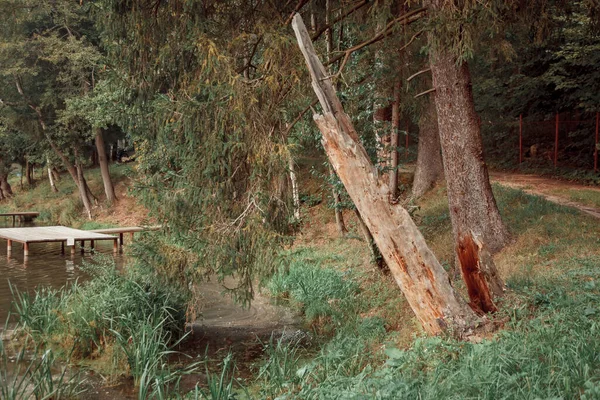 Teich Mit Holzbrücke Landgut Des Moskauer Gebiets Sommertag — Stockfoto