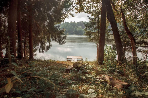 Étang Avec Pont Bois Dans Domaine Région Moscou Jour Été — Photo