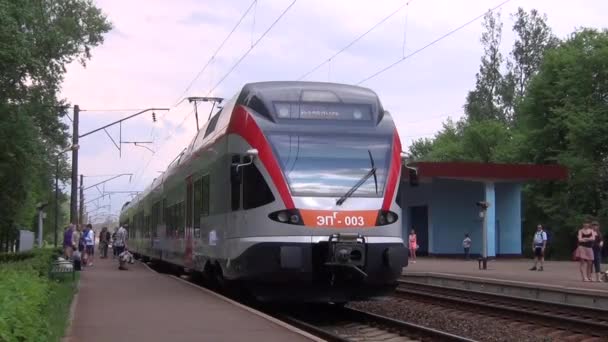 Train frappe la route — Video