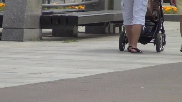 Young family with a baby carriage strolling along the promenade — Stock Video