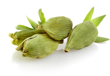 Yeşil kakule bakla