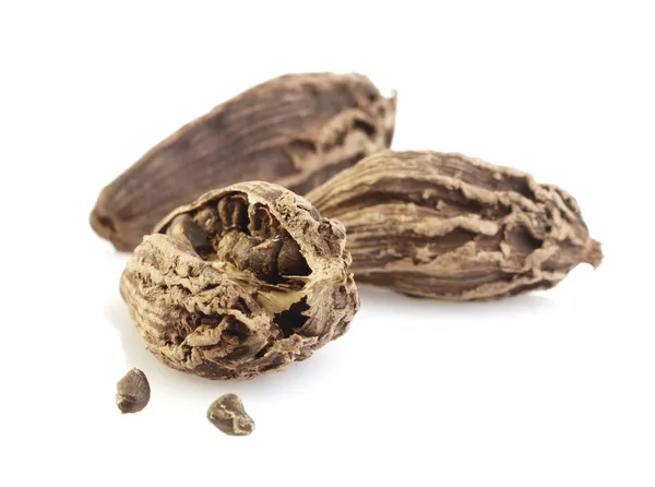 Cialde di cardamomo nero — Foto Stock