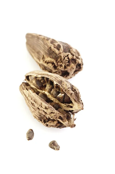 Black cardamom pods — Stock Photo, Image
