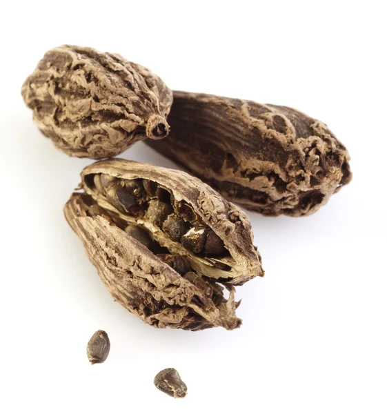 Cialde di cardamomo nero — Foto Stock