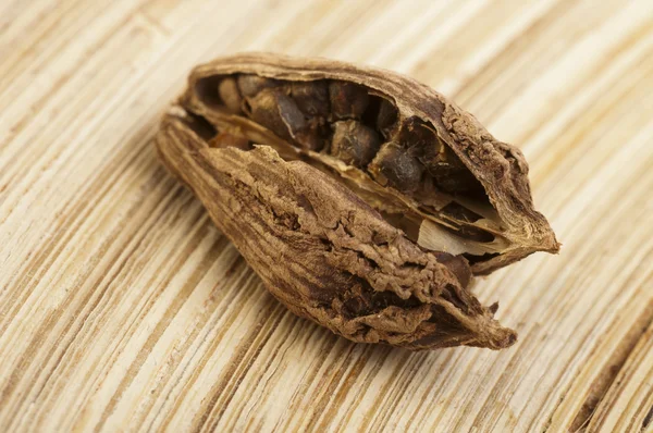 Black cardamom pods — Stock Photo, Image