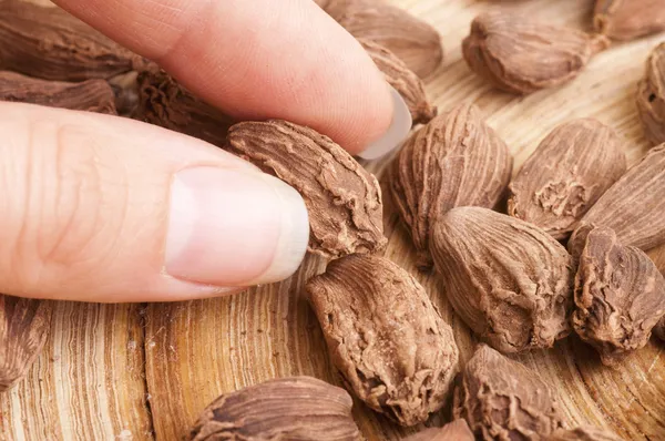 Mano sosteniendo vainas de cardamomo negro — Foto de Stock