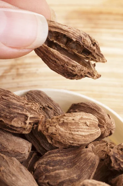 Mão segurando vagens cardamomo preto — Fotografia de Stock