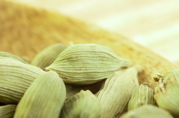 Cardamom pods — Stock Photo, Image