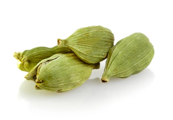 Vainas de cardamomo verde — Foto de Stock