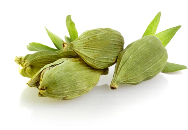 Green cardamom pods — Stock Photo, Image