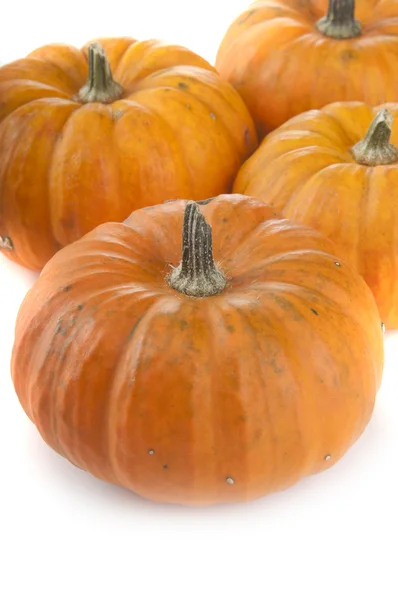 Fresh orange pumpkins — Stock Photo, Image