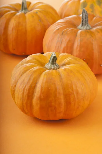 Fresh orange pumpkins — Free Stock Photo