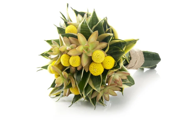 Vacker bukett med gula blommor — Stockfoto