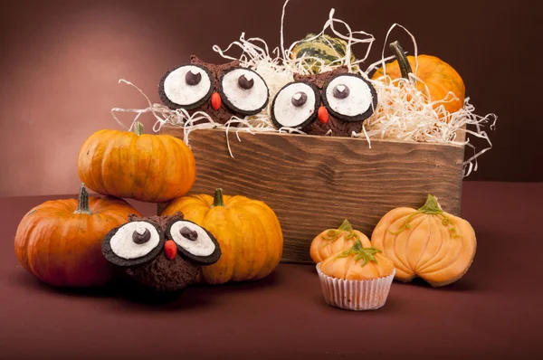 Pumpkin muffins — Stockfoto