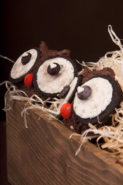 Owl cookies — Stock Photo, Image