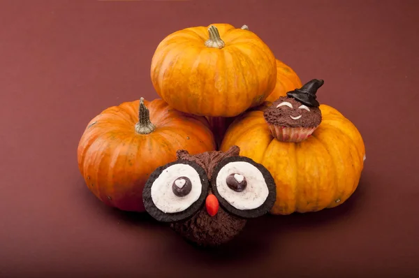 Owl cookies with pumpkins — Stock Photo, Image