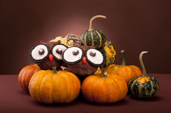 Owl cookies with pumpkins — Stock Photo, Image