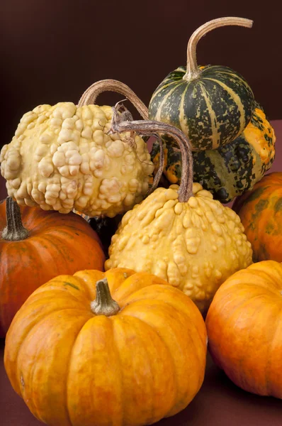 Pumpkin background — Free Stock Photo