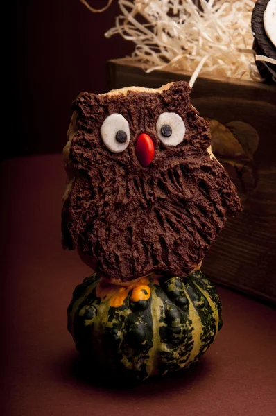 Owl cookie — Stock Photo, Image
