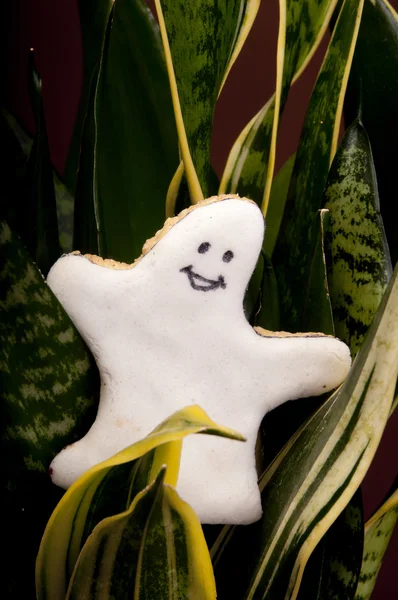 Cookie i form av ett spöke — Stockfoto