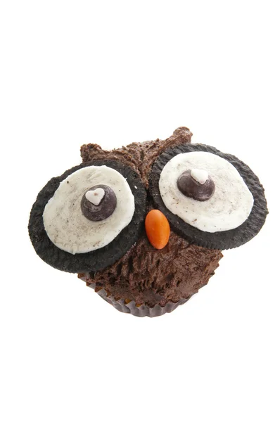 Owl muffin — Stock Photo, Image