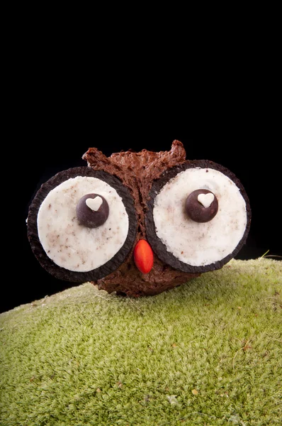 Owl muffins — Stock Photo, Image