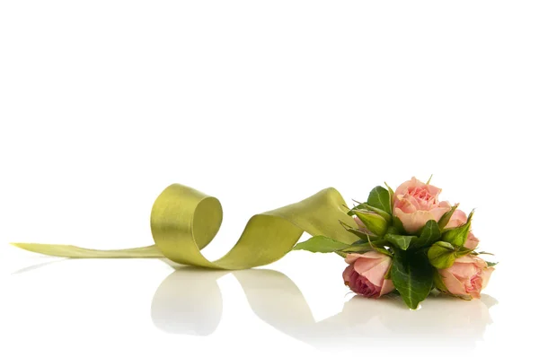 Posy bouquet — Stock Photo, Image