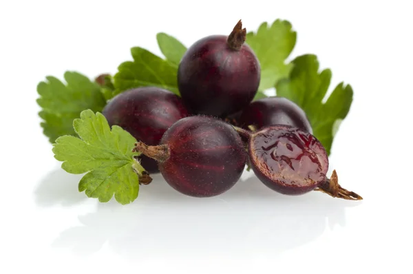 Ripe gooseberry with leaf — Stock Photo, Image