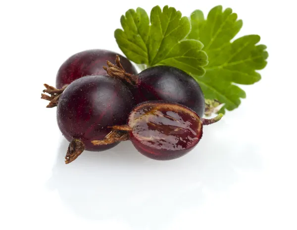 Ripe gooseberry with leaf — Stock Photo, Image