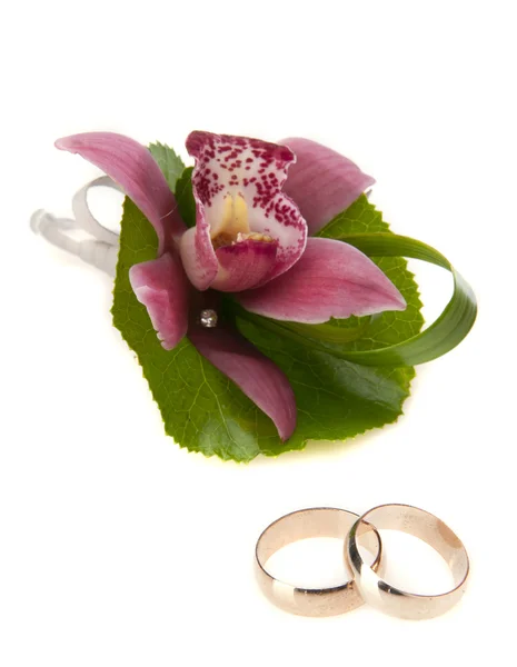 Anneaux de mariage et fleur d'orchidée — Photo