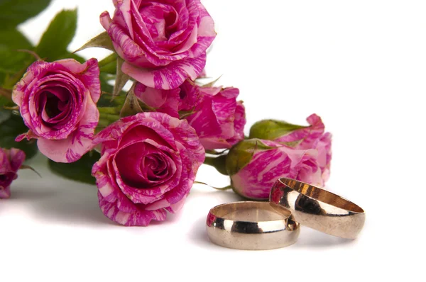 Anillos de boda con rosa —  Fotos de Stock