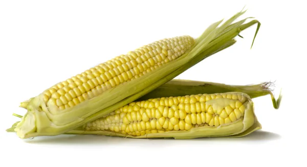 Corn cob on white background — Stock Photo, Image