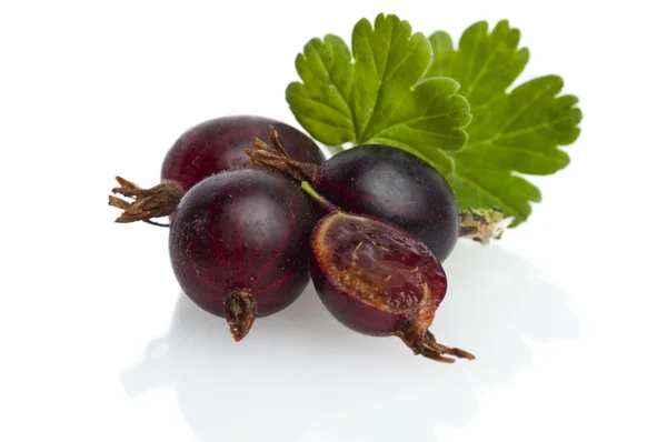 Ripe gooseberry with leaf — Stock Photo, Image