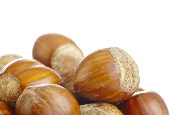 Hazelnuts — Stock Photo, Image