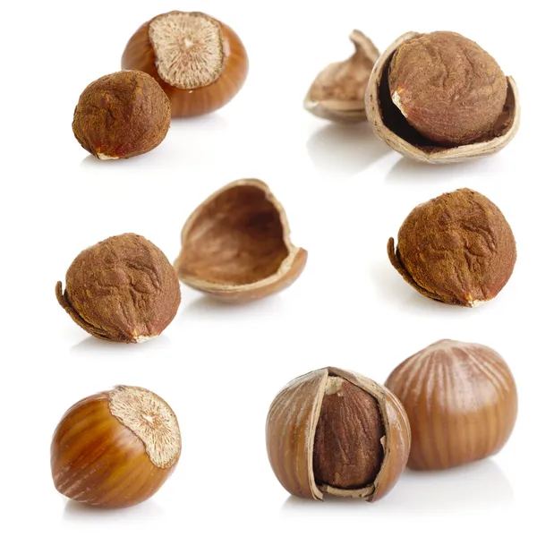 Hazelnuts — Stock Photo, Image