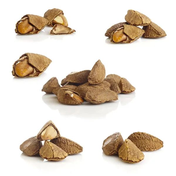 Brazil nuts — Stock Photo, Image