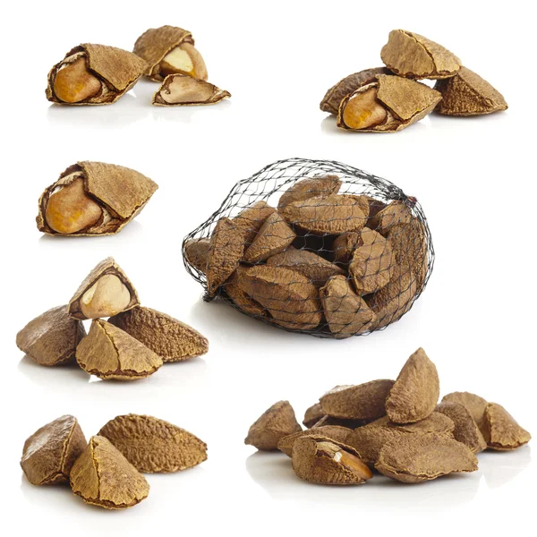 Nueces de Brasil — Foto de Stock