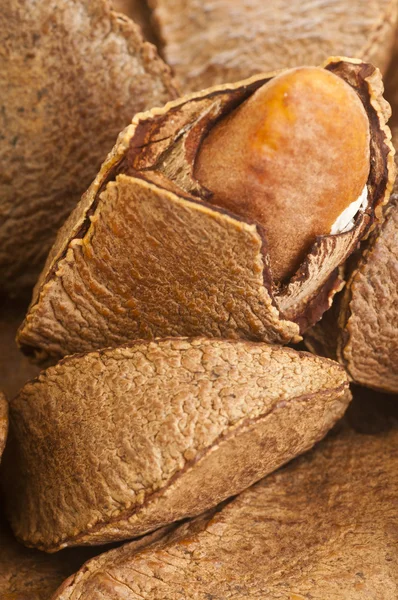 Brazilské ořechy — Stock fotografie
