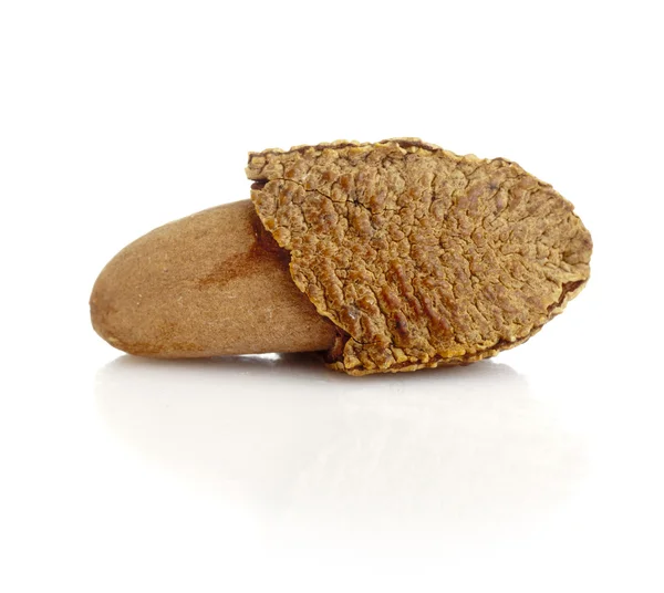 Brazil nuts — Stock Photo, Image