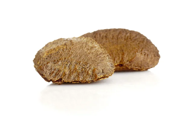 Brazil nuts — Stock Photo, Image