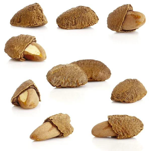 Brazil nuts — Stock Photo, Image
