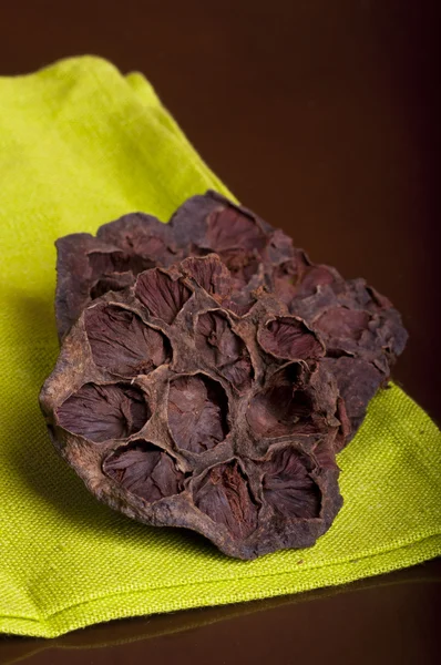Pote de semente de lótus também é chamado de Lian Fang — Fotografia de Stock