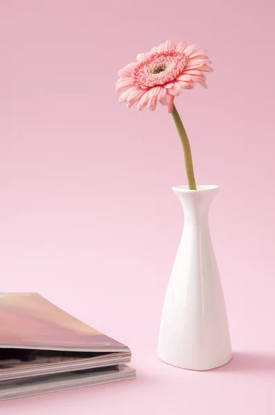 Rosa gerbera blommor i vas — Stockfoto