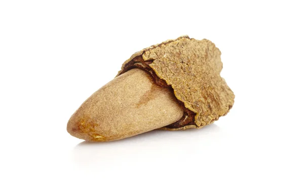 Бразильский орех — стоковое фото