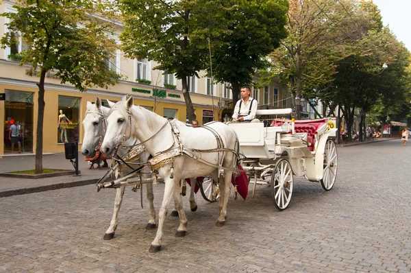 Horse carriage on a street — Stock Image Horse carriage on a street Royalty Free Stock Images