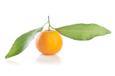 mandalina yaprakları ile