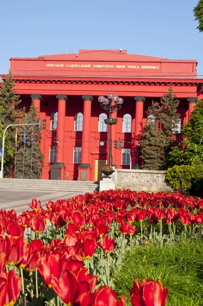 Red τουλίπες κοντά το taras shevchenko Εθνικό Πανεπιστήμιο, Κίεβο, Ουκρανία — Φωτογραφία Αρχείου